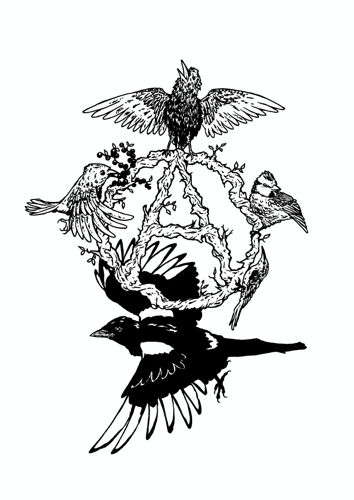 Birds of Anarchy