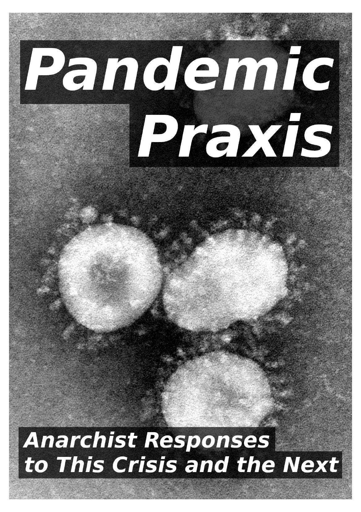 Pandemic Praxis