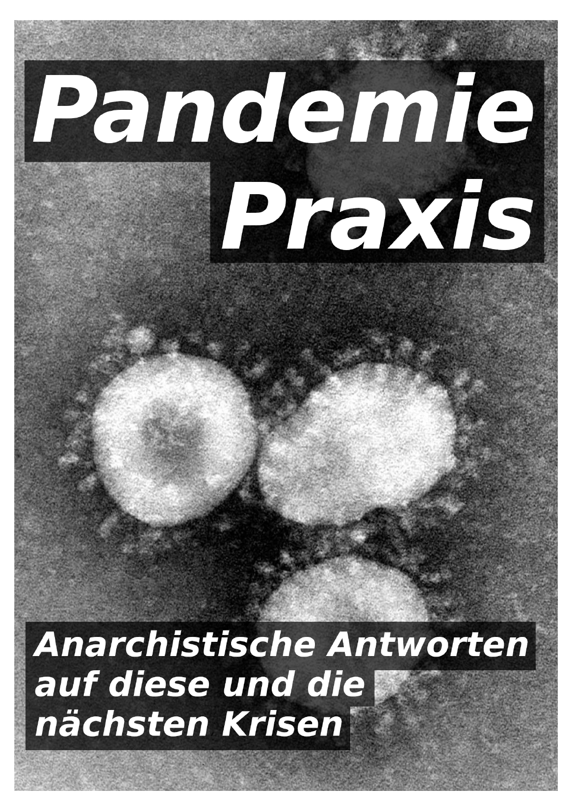 Pandemis Praxis